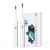 China Manufacturer High Quality USB Vibrator Cheap Electric Toothbrush