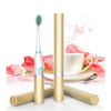 SA119 2018 hot selling Patented Electric toothbrush with replaceable toothbrush head